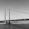 20230301-120145-8207.jpg