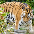 20220821-111048-4056.jpg