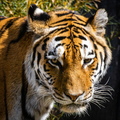 20220821-111454-4071.jpg