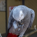 IMG_3533.jpg