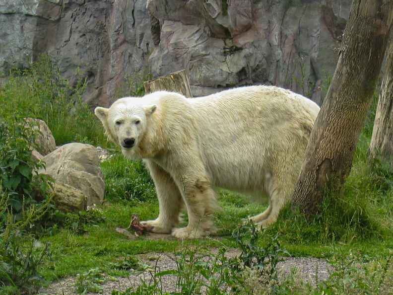 20080611-135528.jpg