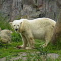 20080611-135528.jpg