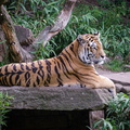 20090922-112221-031.jpg