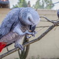20150822-163806-3536.jpg