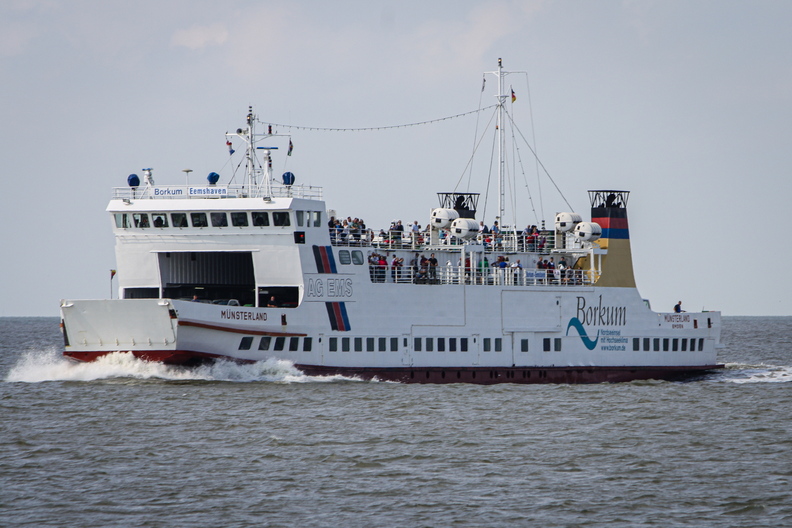 IMG_8515.jpg