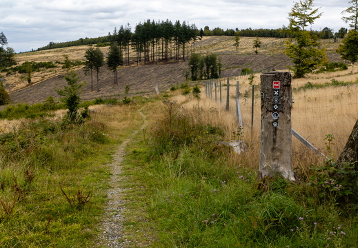 Rothaarsteige in Bad Laasphe