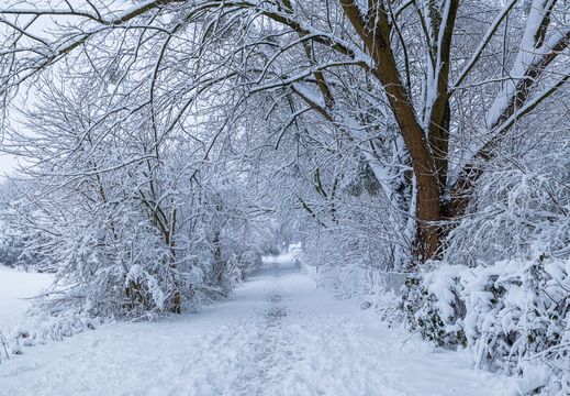 Winterweg